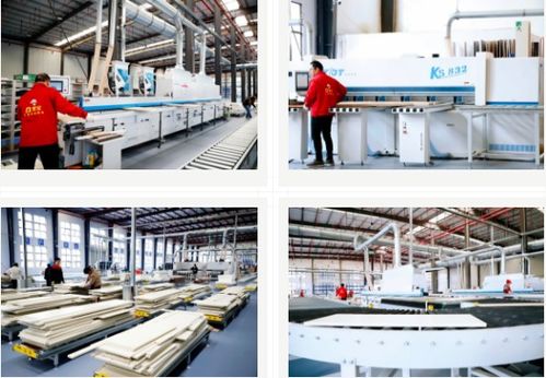 雪寶集團 大國工匠,家居典范